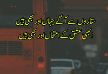 12+ Allama iqbal poetry