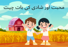 محبت اور شادی کی بات چیت