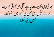 30+ Brother Quotes in Urdu