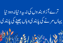 8+ Allama iqbal poetry