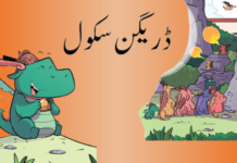 Dragon School ،ڈریگن سکول