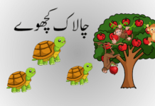 The Clever Tortoise،چالاک کچھوے